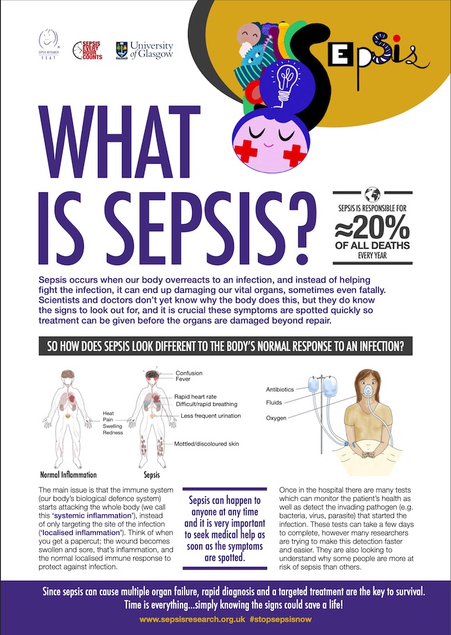 An image of a poster used to promote the SEPS_IS activity packs