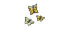 Cartoon image of three yellow butterflies