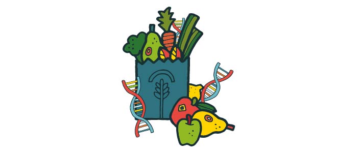 Cartoon image of a bag of fruit and vegetables surrounded by DNA molecules. 