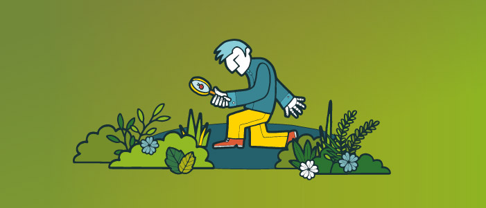 Cartoon image of a man with a magnifying glass searching for bugs. Around him is a pond and various bushes.