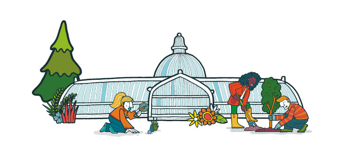 Cartoon image of the Kibble Palace in the Glasgow Botanic Gardens surrounded by people planting a tree and searching for bugs. 