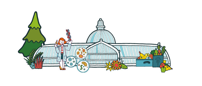 Cartoon image of the Kibble Palace in the Glasgow Botanic Gardens surrounded by a lady in a lab coat holding DNA, three petri dishes growing bacteria and a pile of fresh produce.