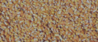 Banner sized image of corn kernels