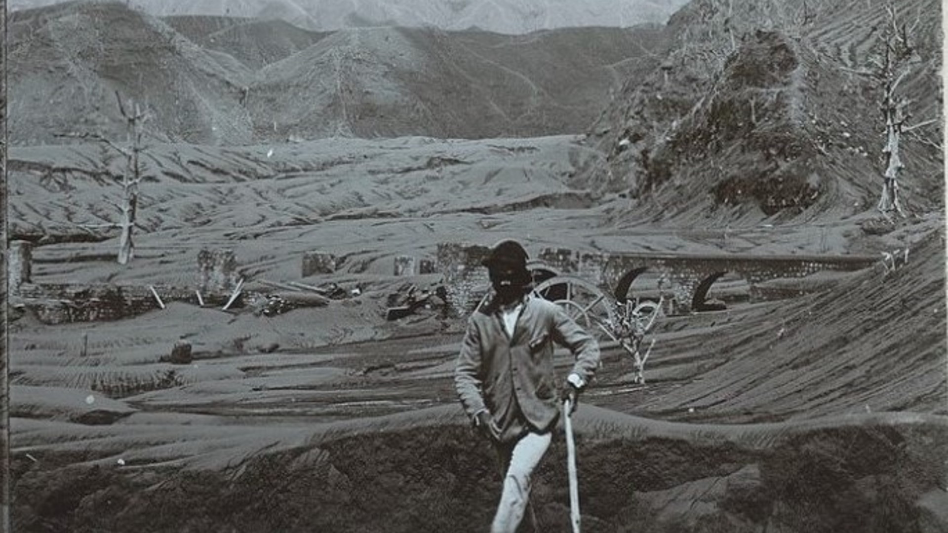 1902 wallibou after eruption