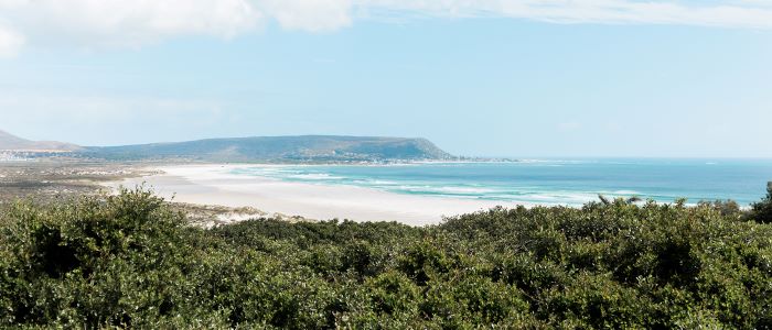 picture of beach in Capetown