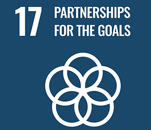 Sustainable Development Goal text and icon number 17 in white over a blue background, partnerships for the goal