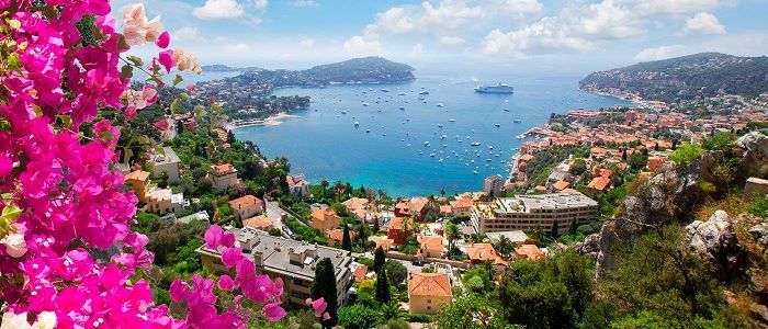 Photo of the coast of the south of France with pink blossom in the foreground