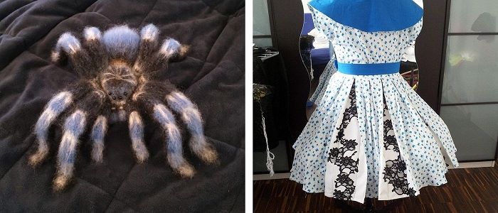 College of 2 photos of crafts projects: a crocheted spider and a 1910s dress style dress