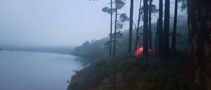 Photo of a small tent nestled in woodland at dusk