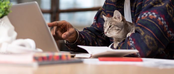 Photo of man working from home with laptop and cat