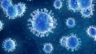 Influenza virus on blue background