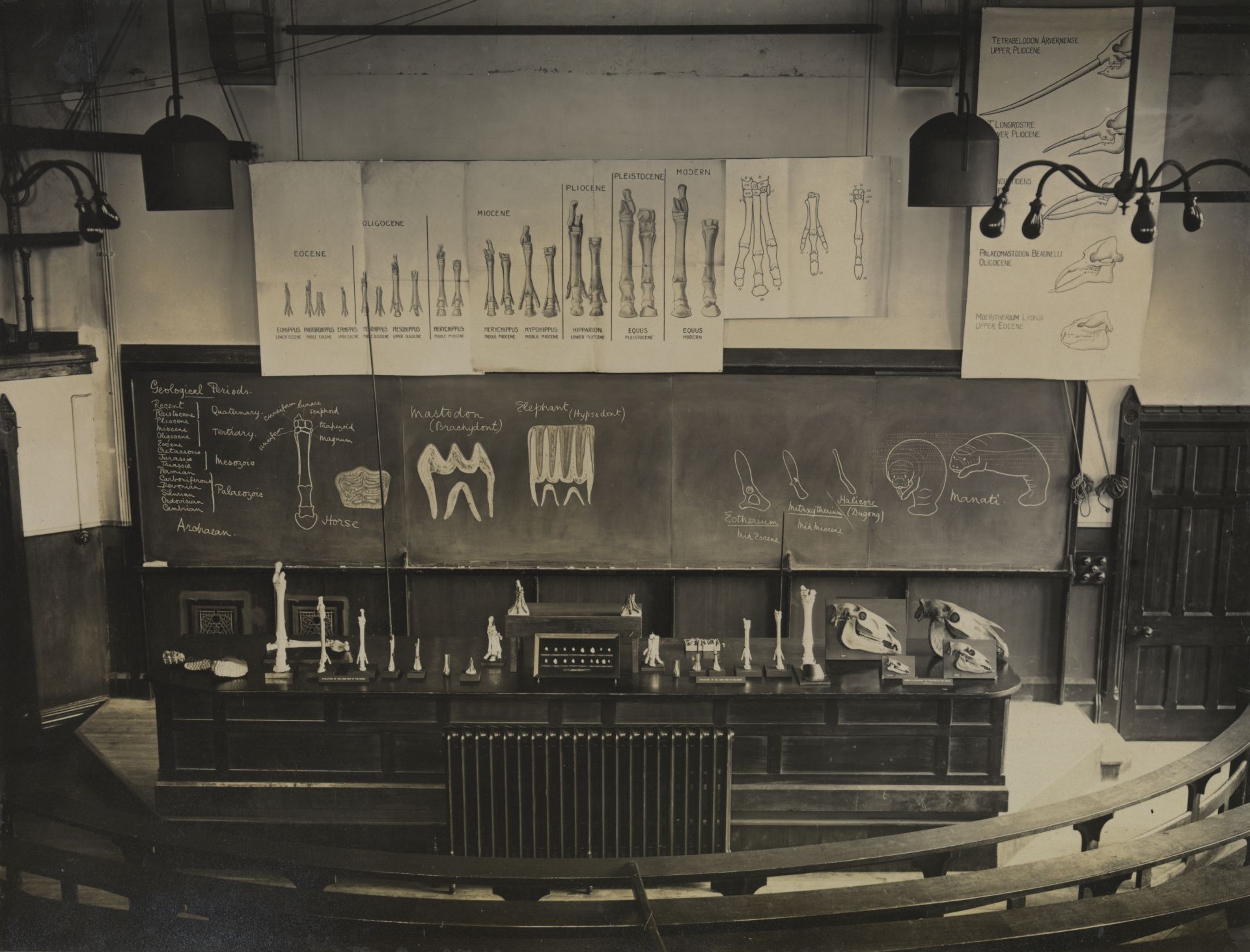 The old Zoology lecture theatre set up for teaching with museum specimens, teaching charts and blackboard text and drawings