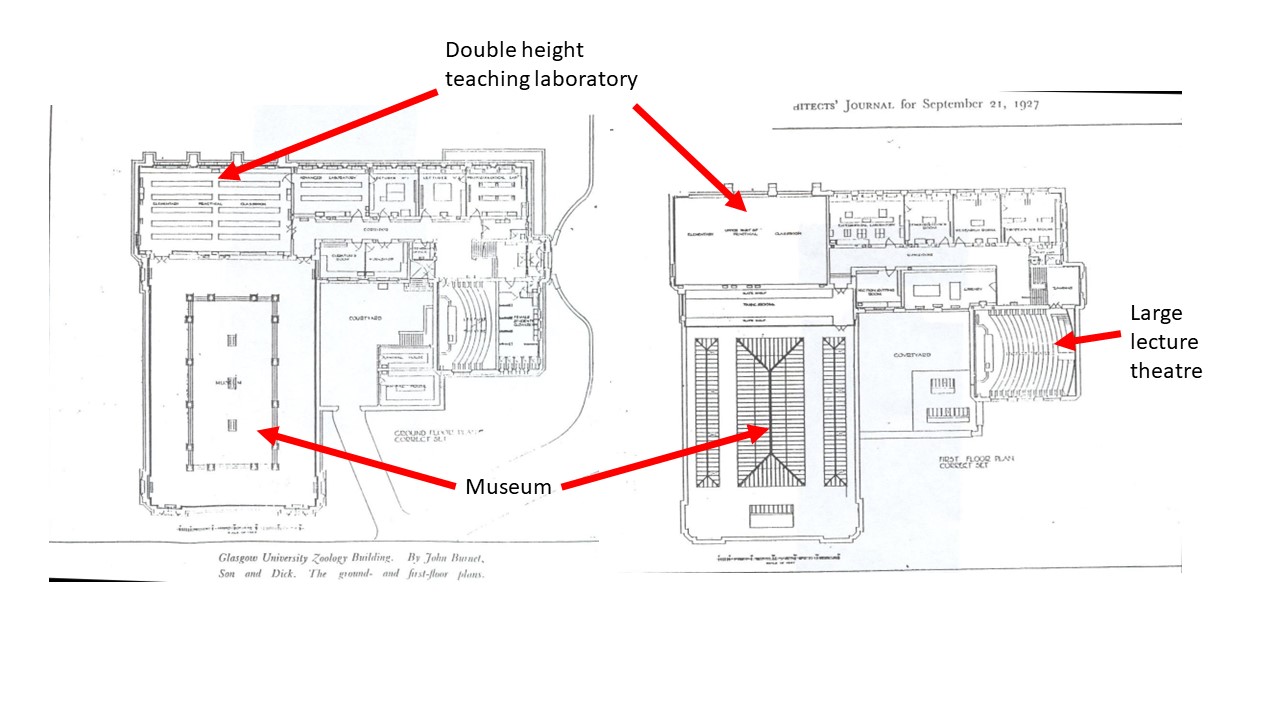 Burnet and Campbell’s plans for the Zoology Building as published in The Architects Journal September 1927