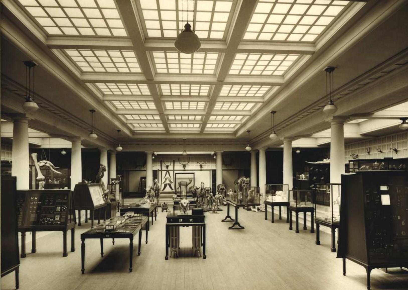 Photo of the Graham Kerr Zoology Museum, taken around 1930