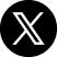 x logo