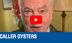 Caller Oysters Video