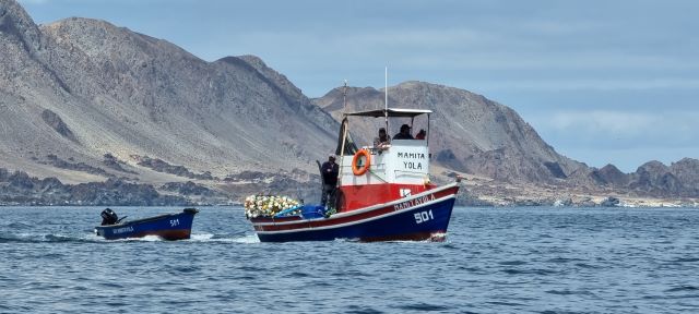 Artisanal fishing boat on the Atacaman coast of Chile