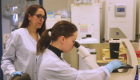 Professor Lilach Sheiner overseeing lab work as a colleague looks through a microscope