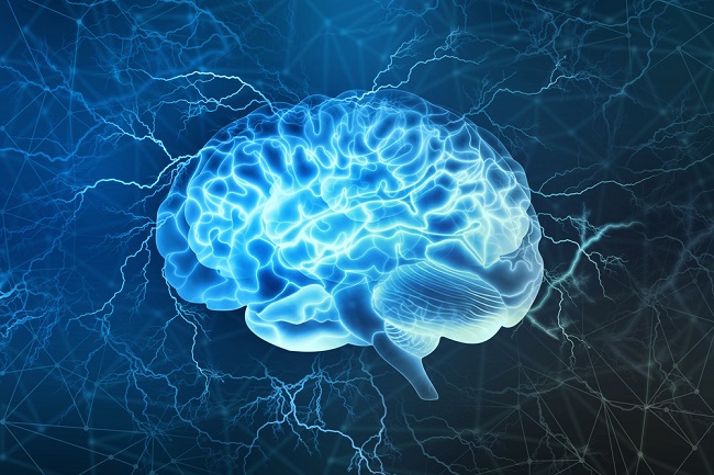 Illustration of a human brain in blue and white