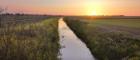 Humberhead Levels landscape, Project Wildscape (Photo Dr Kim Davies)