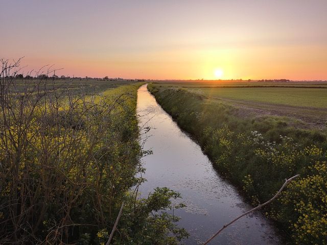 Humberhead Levels landscape, Project Wildscape (Photo Dr Kim Davies)