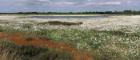 Thorne Moors SSSI, Humberhead Levels Peatlands. Photo: Peter Roworth