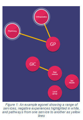 An example egonet showing a range of services and connected pathways