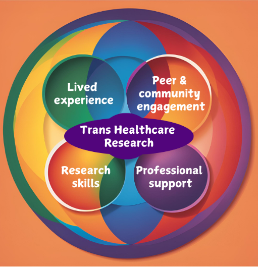 A colourful circular diagram with overlapping sections, representing components central to trans healthcare research