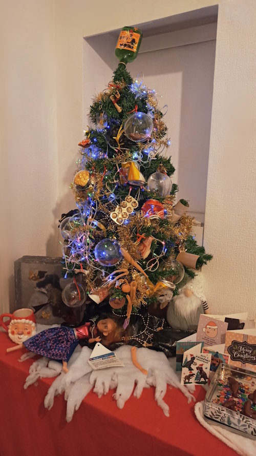 Photo of small Christmas tree decorated with fairy lights, tinsel and an assortment of plastic rubbish