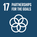 SDG17