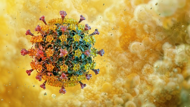 Image of an avian flu H5N1 particle