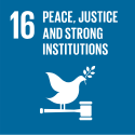 sdg 16