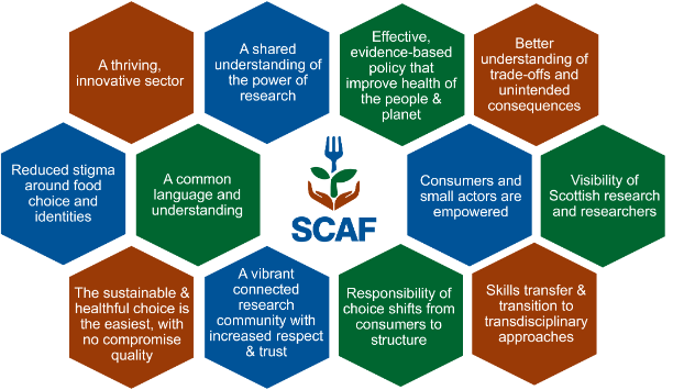 SCAF Hexagon Infographic - December newsletter and blog