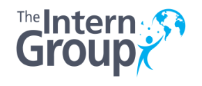 Logo for The Intern Group