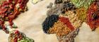 World map made out of various spices and grains stuck to paper