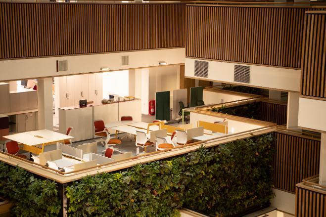 Interior of an office with desks and chairs. One wall is covered in plants.