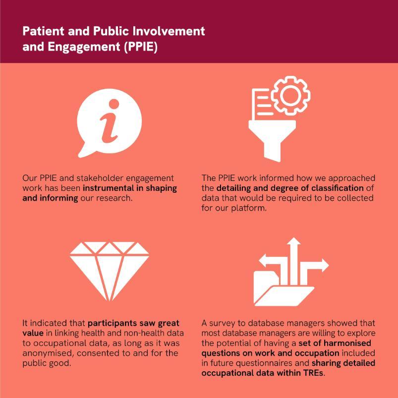 Infographic section on Patient and Public Involvement and Engagement (PPIE)