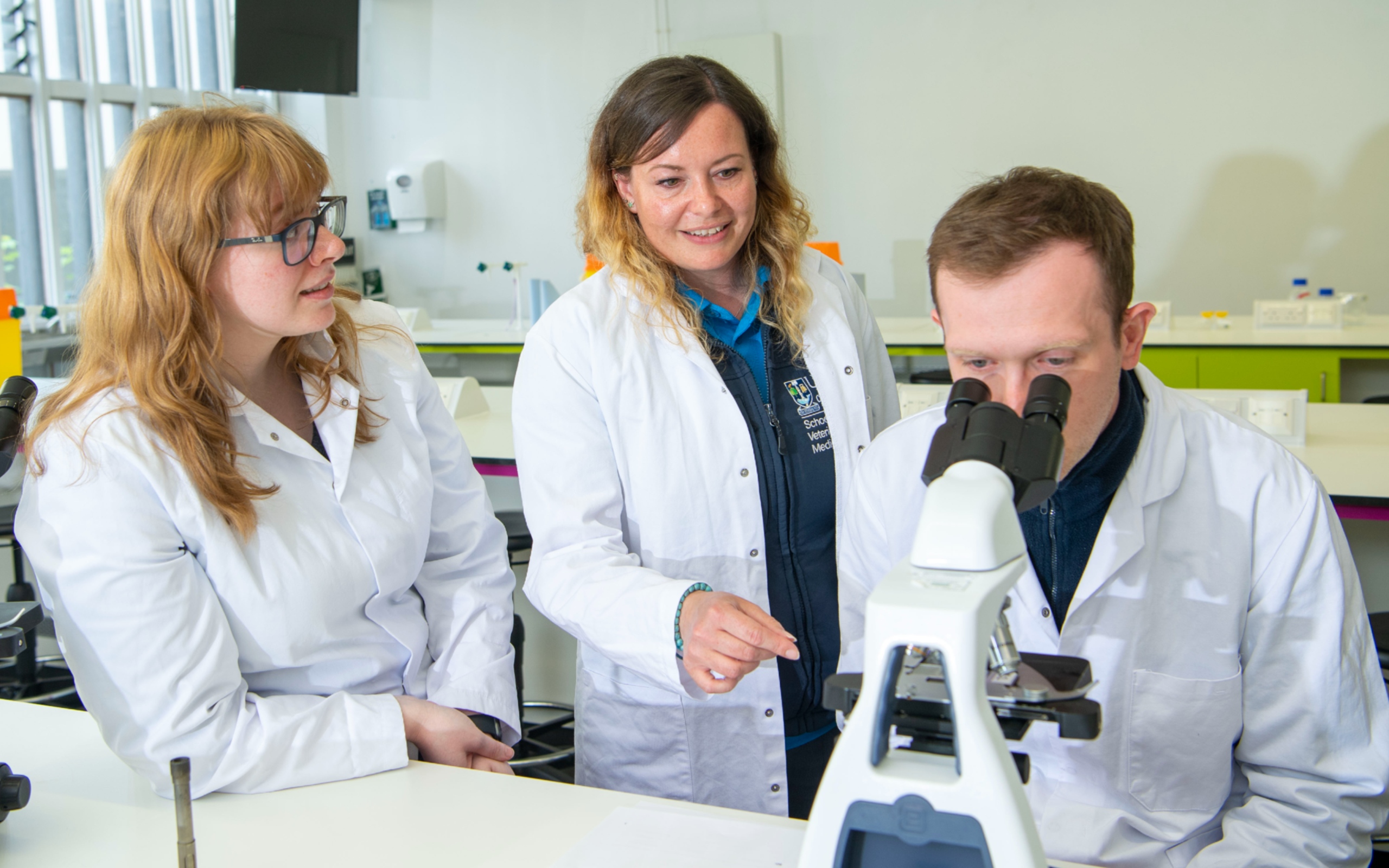 Students study Life Sciences in a laboratory in the Jarrett Building