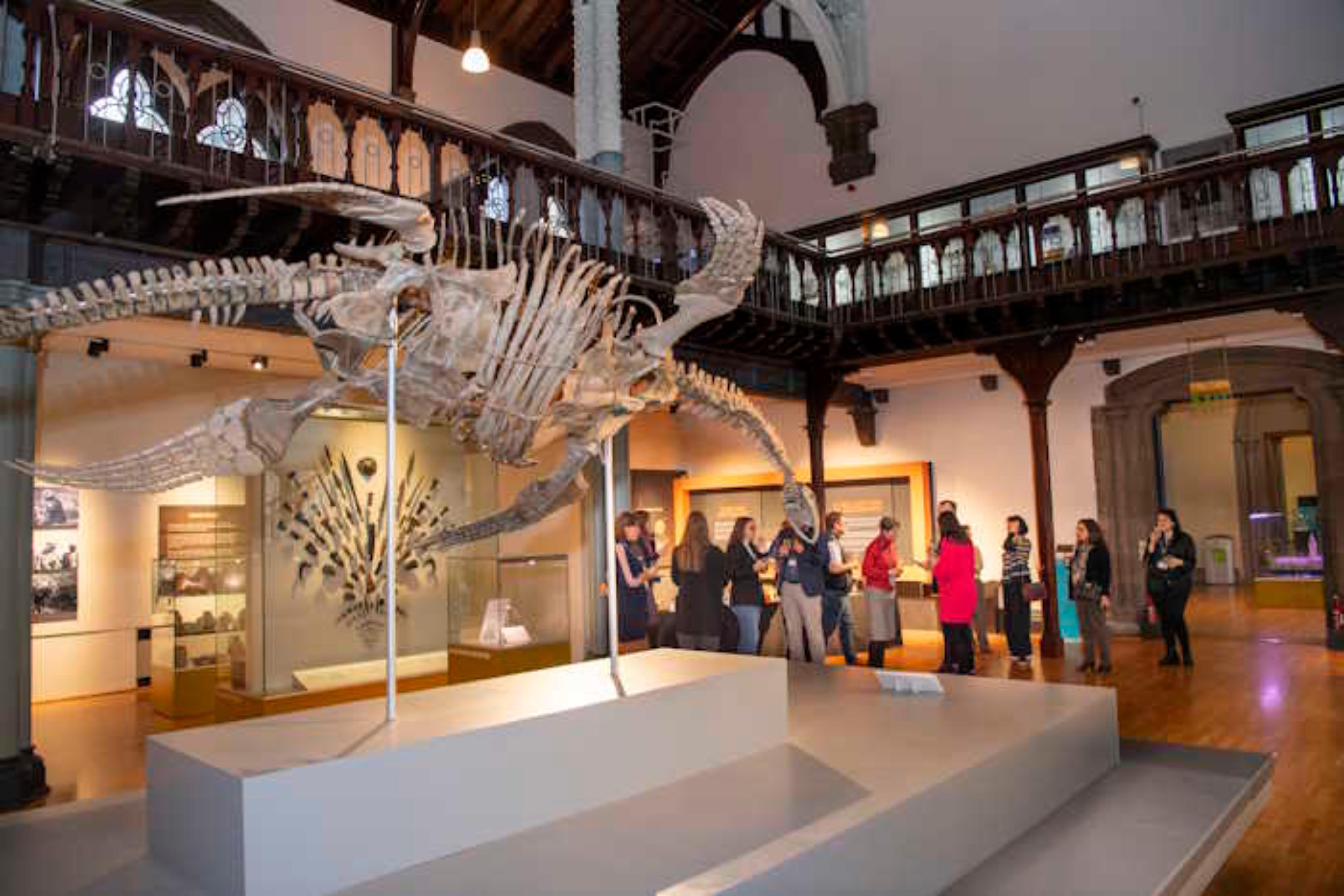 Hunterian reception with skeleton and people