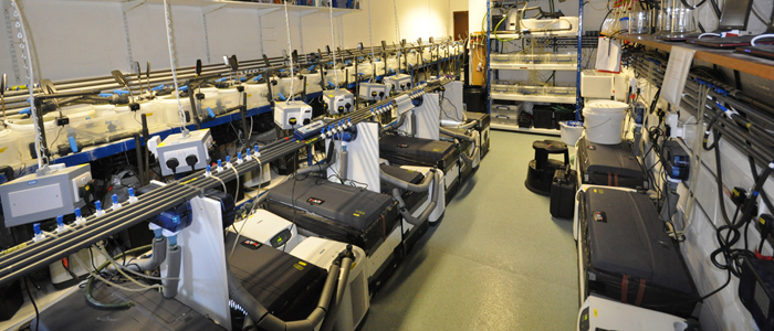 Isotope Ecophysiology Lab