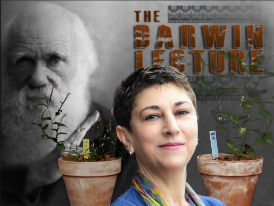 Collage of Sonia Sultan with Darwin and Plants