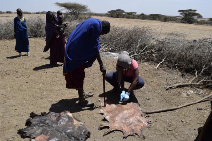 Picture of Anthrax sampling Tanzania Lembo