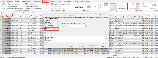 A screenshot from Excel showing the Text to Columns window, highlighting the key areas.