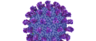Graphic representation of oronavirus image