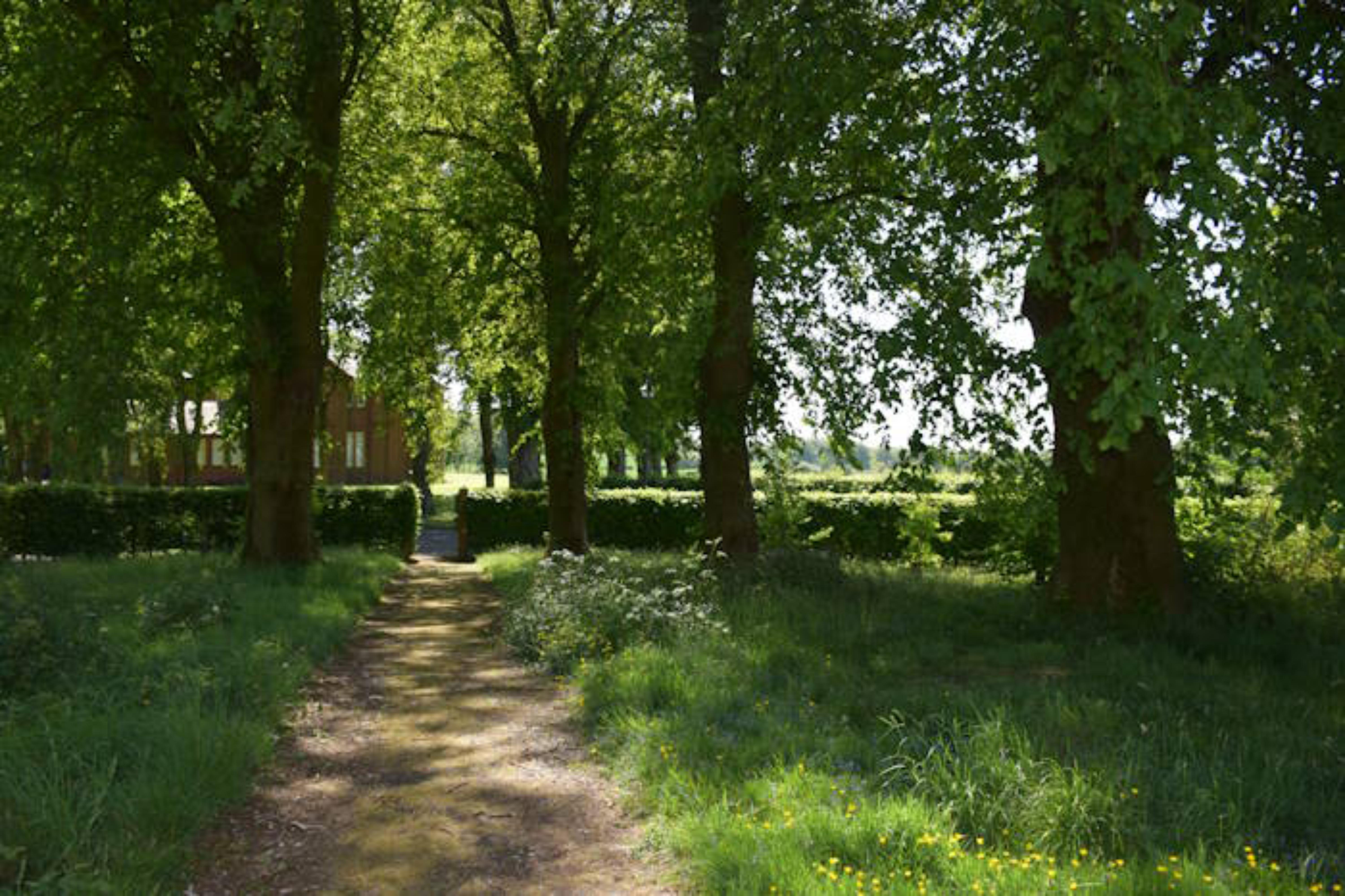 Teaching Garden - Woods around garden