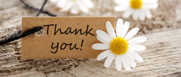 Photo of thank you card and flower