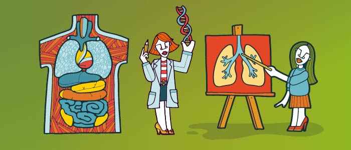 Cartoon image of a torso showing organs, a female scientist holding DNA and a woman pointing at a canvas image of a pair of lungs on a green background. 