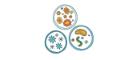 Cartoon image of 3 petri dishes containing various cells and viruses.