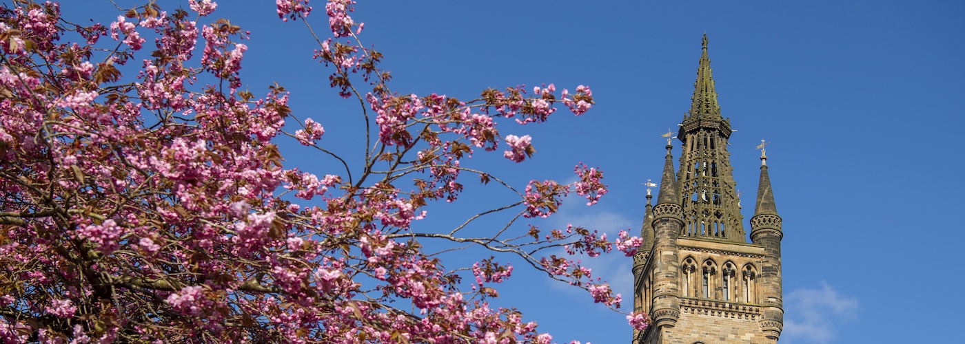 University tower with pink blossoms