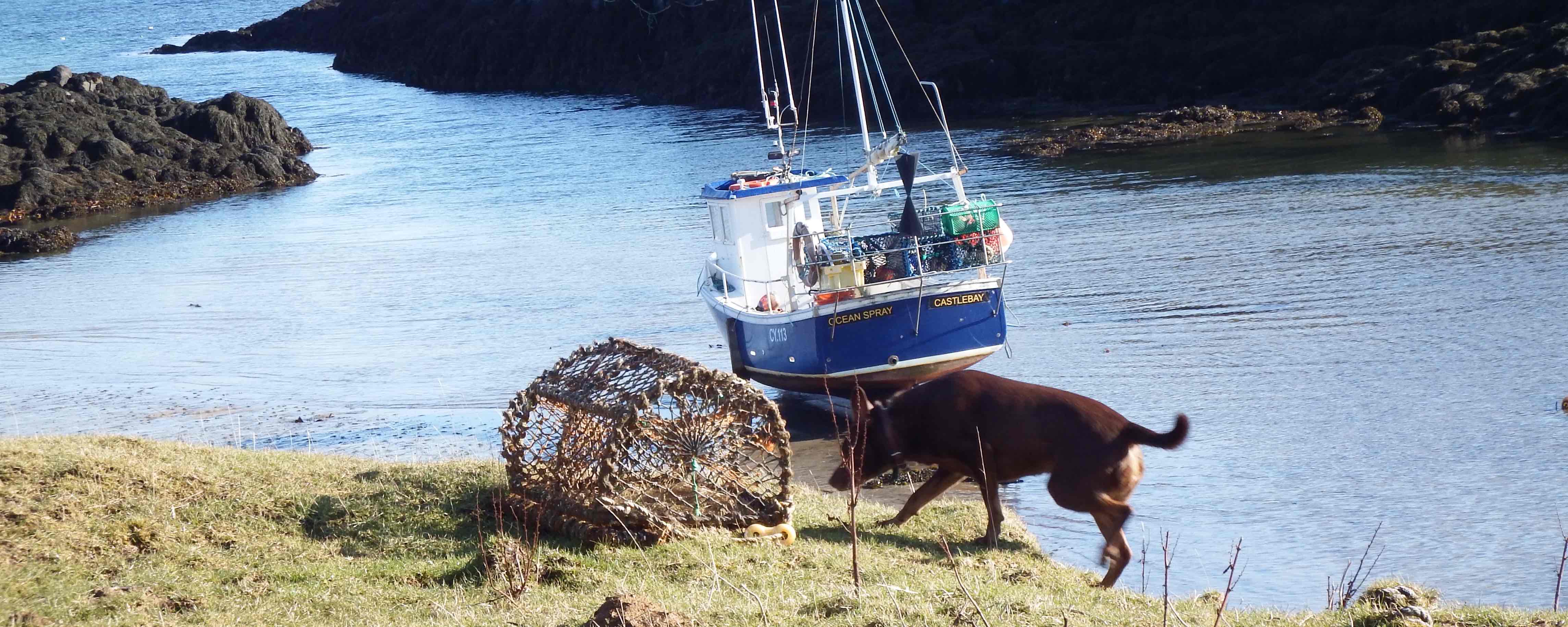 Image of a dog, lobster creel and boat on the coast